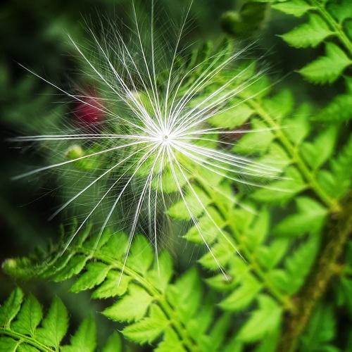 Photo #4245679