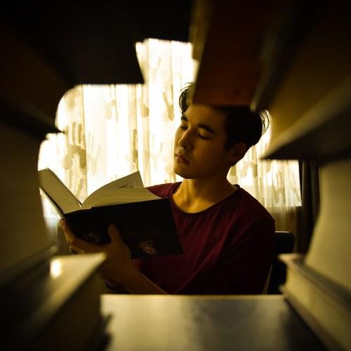 Photo #4245716