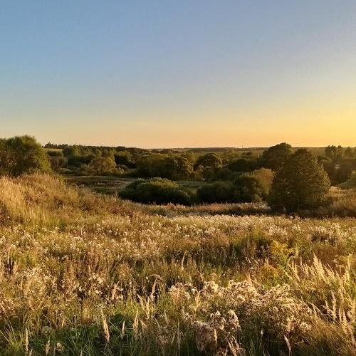 Photo #4245744