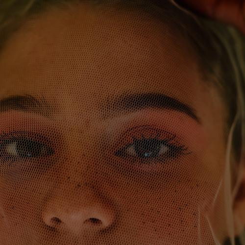 Photo #4246373