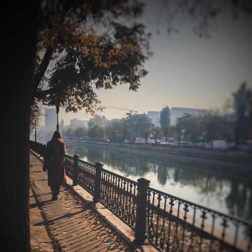 Photo #4246385