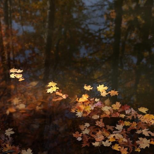 Photo #4246407