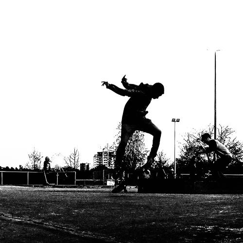 Photo #4246434