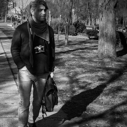 Photo #4246435