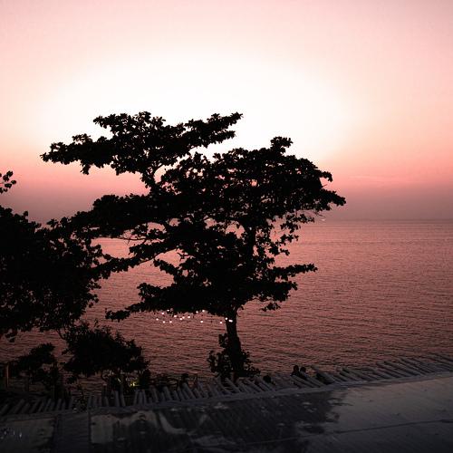 Photo #4246639