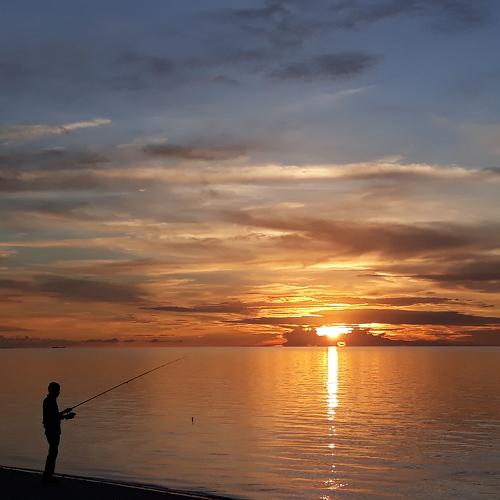 Photo #4246944