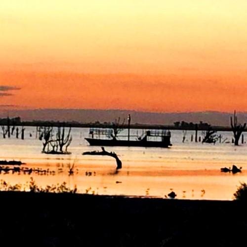 Photo #4246973