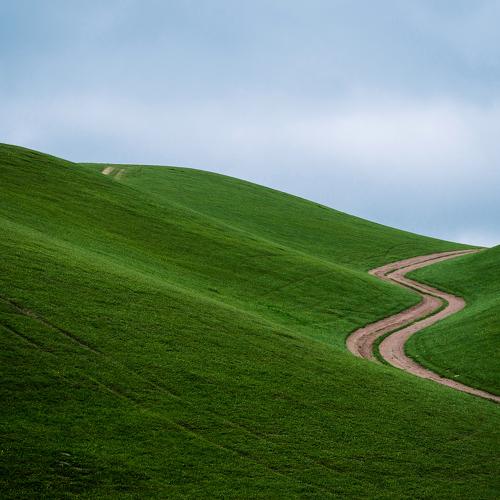 Photo #4247071