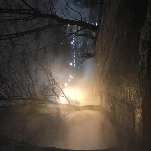 Photo #4247255