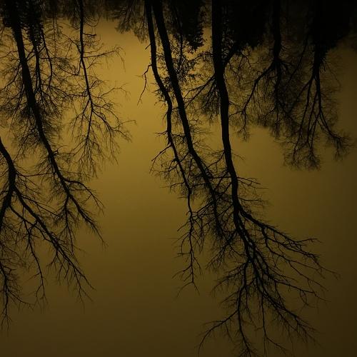 Photo #4247266