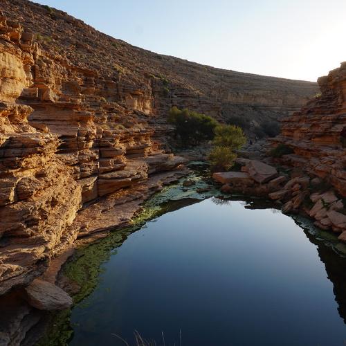 Photo #4247363