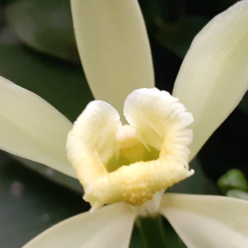 Photo #4247854