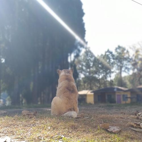 Photo #4248426
