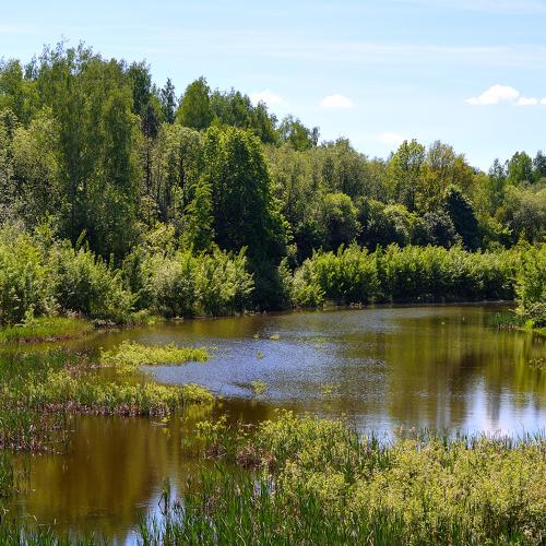 Photo #4248502