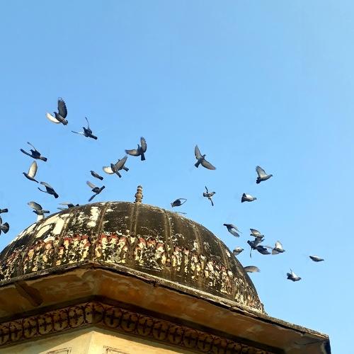 Photo #4248660