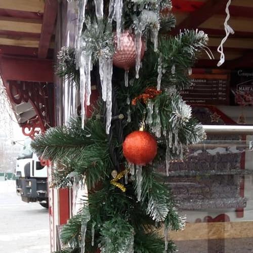 Photo #4248842