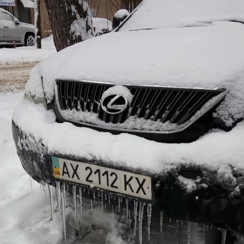 Photo #4248862
