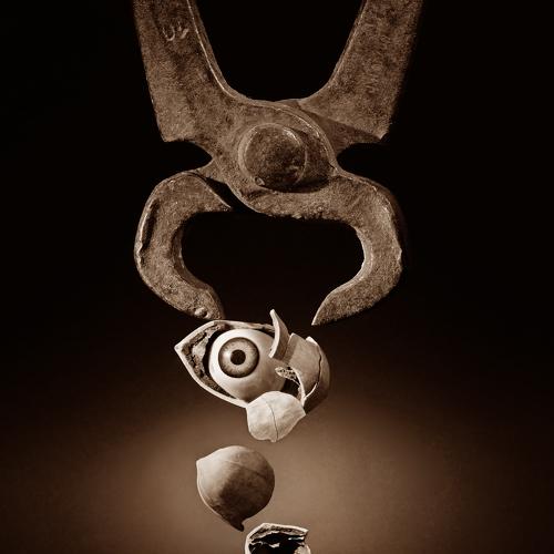 Photo #4249388