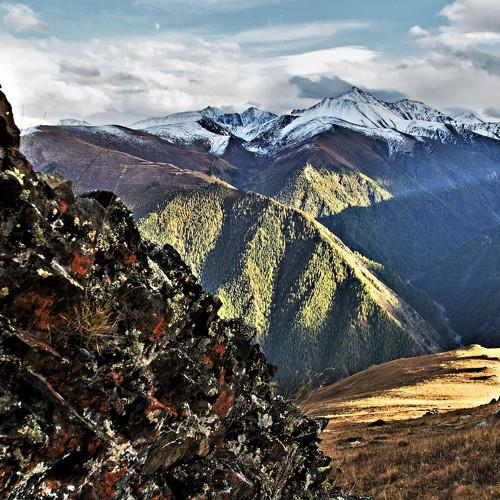 Photo #4249403