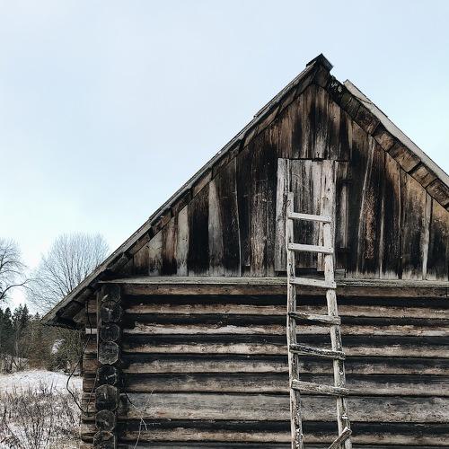 Photo #4249844