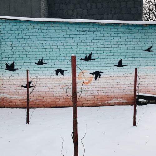 Photo #4249864