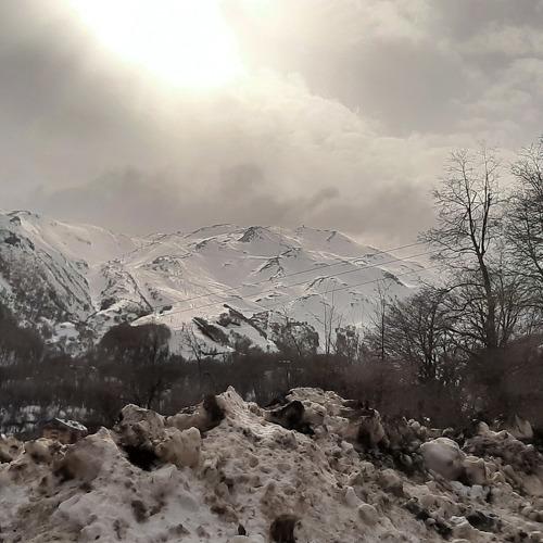 Photo #4250141
