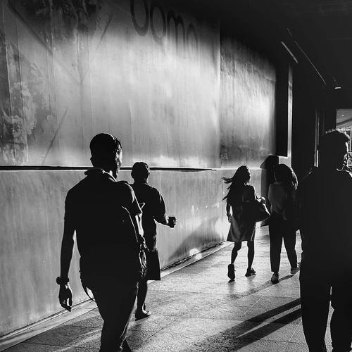 Photo #4250479