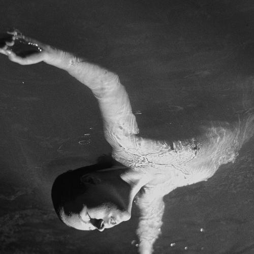 Photo #4250548