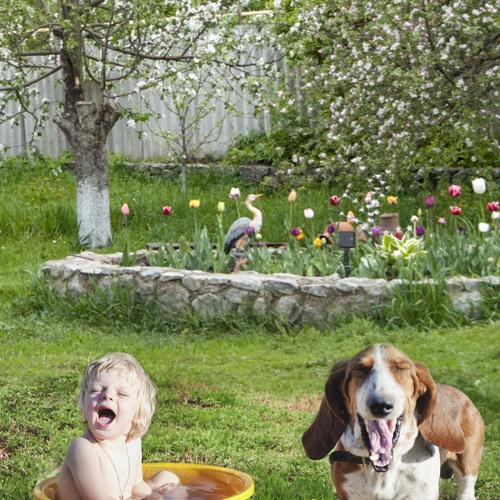 Photo #4250573