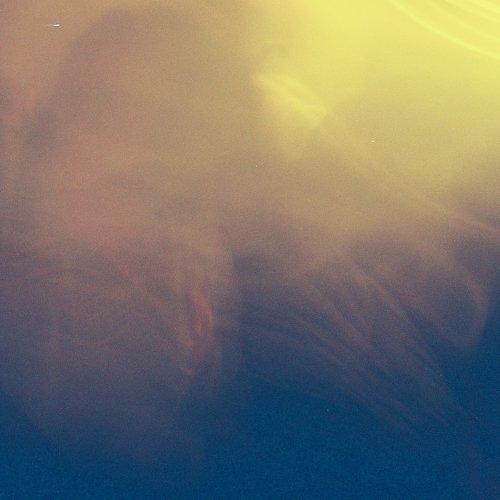 Photo #4250914