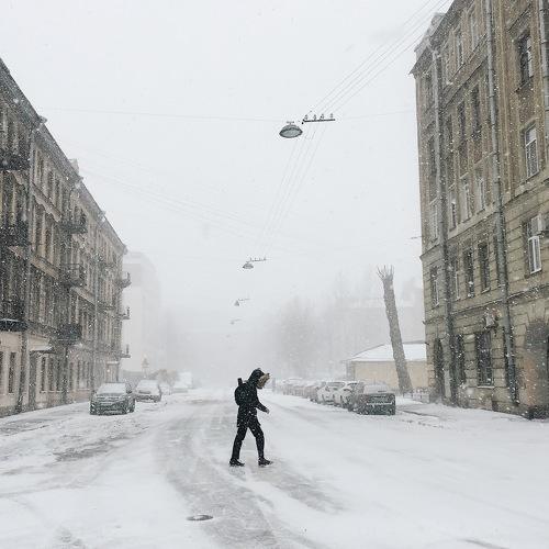 Photo #4251196
