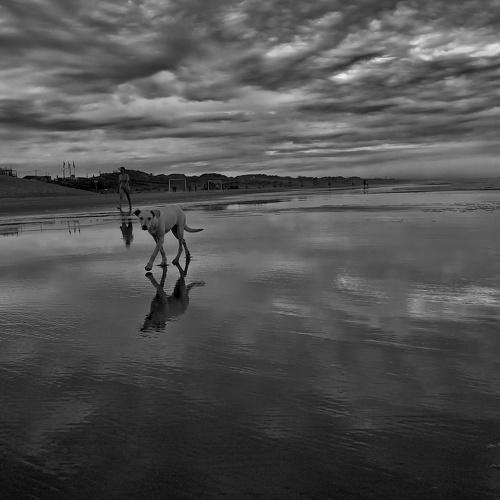 Photo #4251297