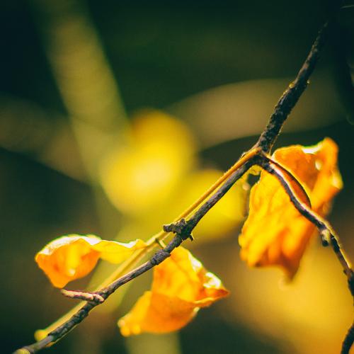 Photo #4251315