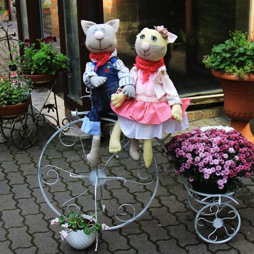 Photo #4251483