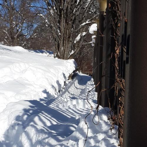 Фотография #4251641