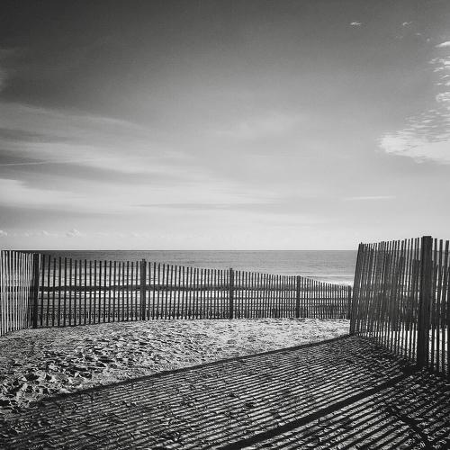 Photo #4251704