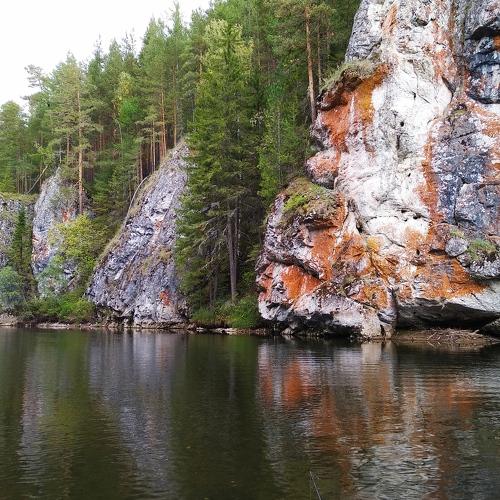 Photo #4251839