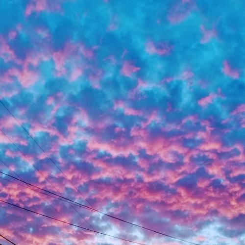 Photo #4252859