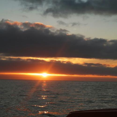 Photo #4253273