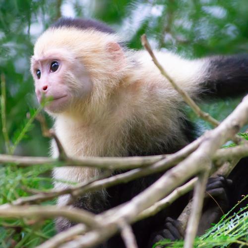 Photo #4253416