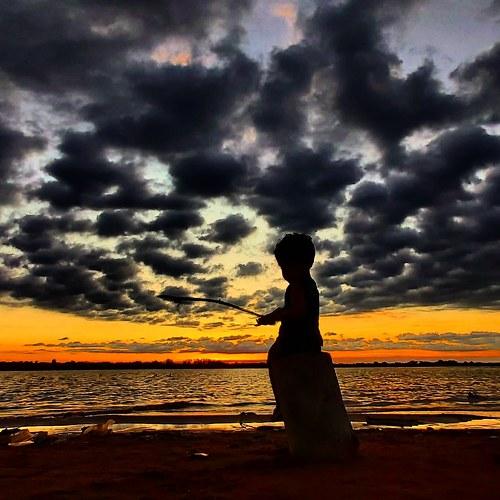 Photo #4253450
