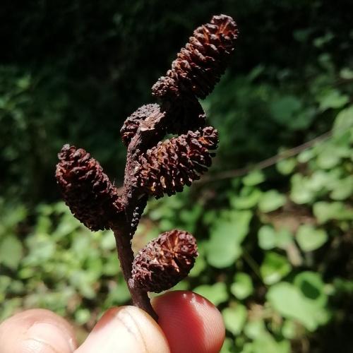Photo #4253778