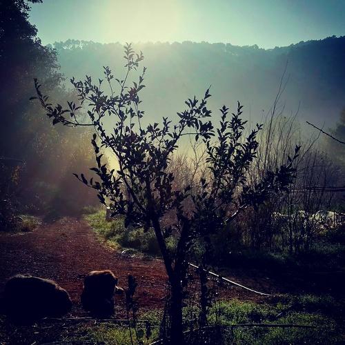 Photo #4253991