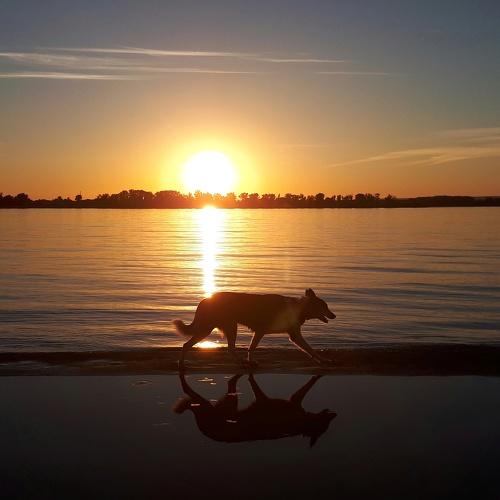 Photo #4254035