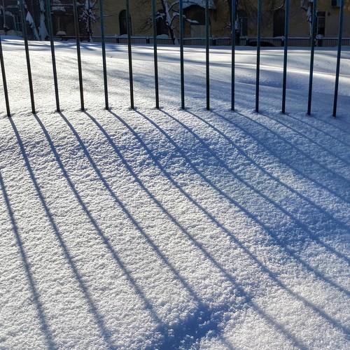 Photo #4254044