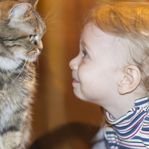 Photo #4254126