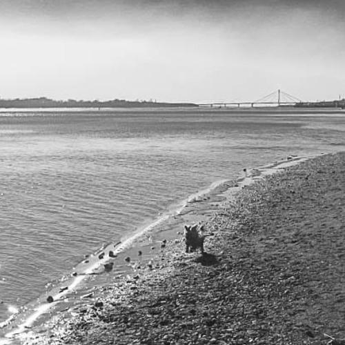 Photo #4254238