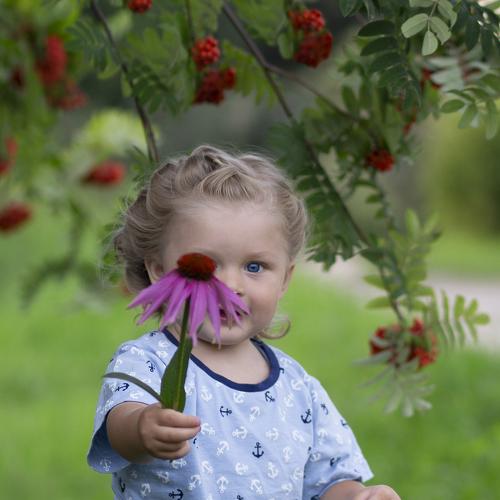 Photo #4254427