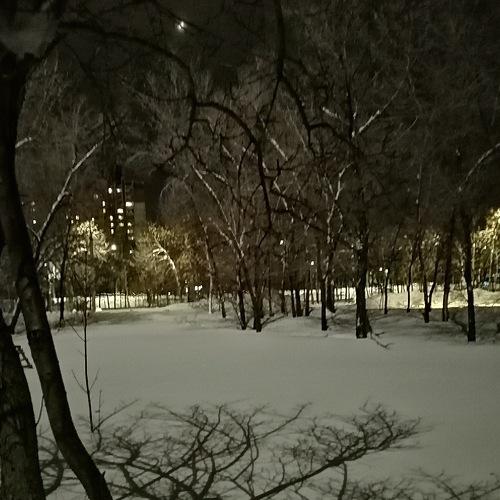 Photo #4254622