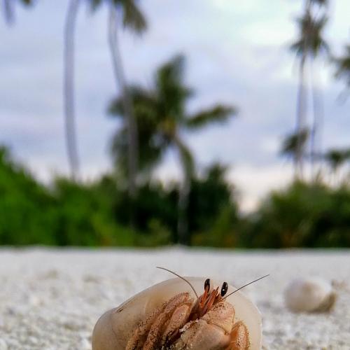 Photo #4255127